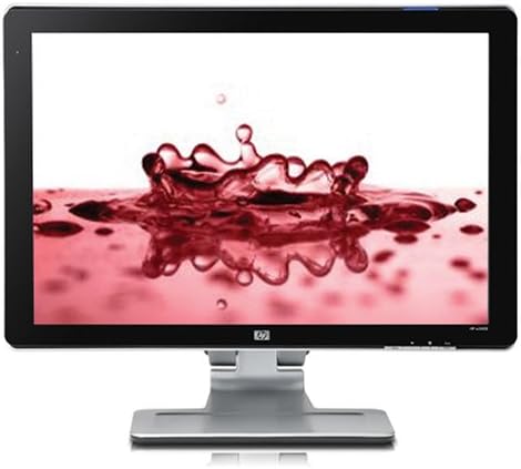 HP W2408 živopisne boje 24-inčni ravni LCD Monitor širokog ekrana sa BrightView panelom