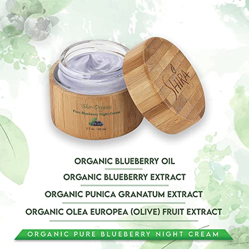 Shira Shir - organska čista noćna krema od borovnice 15ml za Nahranjenu, bez bora i blistavu kožu s organskom