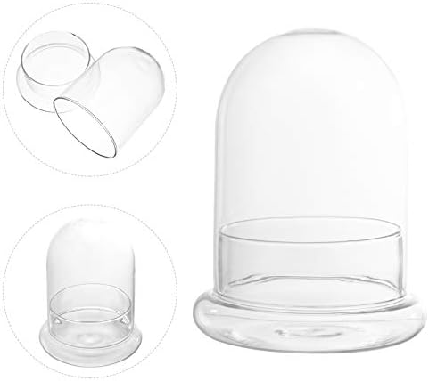 Hemoton stakleni prikaz Dome Clear Glass Cloche Bell Jar Terrarium Display Dome Dekorativna futrola