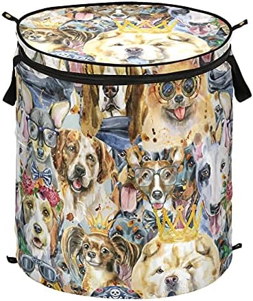 Različiti akvarelni psi se pojačaju rublje zaprekinuto sklopnim košarom za skladištenje sklopivim vrećicom