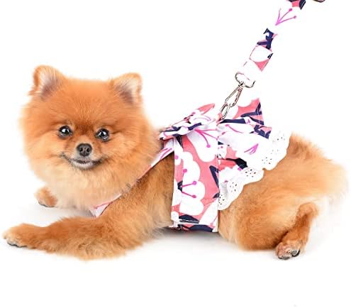PAIDEFUL pas haljine pojas i povodac Set kostim cvjetni luk mačke sarafan za male kućne ljubimce djevojke