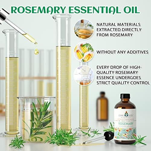 Rosemary Essential ulje za iglu Bise eterično ulje 4 oz, čisto ružmarno ulje za kožu košu