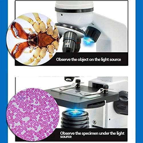 Srednji mikroskop, dečiji mikroskop sa držačem za mobilni telefon 40X~3200X, okular ,objektiv, LED gornji