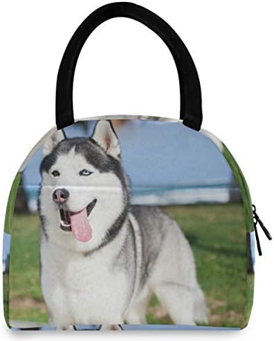 Izolovana torba za ručak za žene-životinjski konj Tigar pas velike nepropusne torbe za ručak s naramenicama