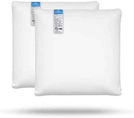 AM Aeromax 18 × 18 jastuk za umetanje memorijske pjene bacanje jastuk za umetnik Sham kvadrat