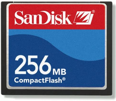 256mb Sandisk 24x CompactFlash kartica standardne klase