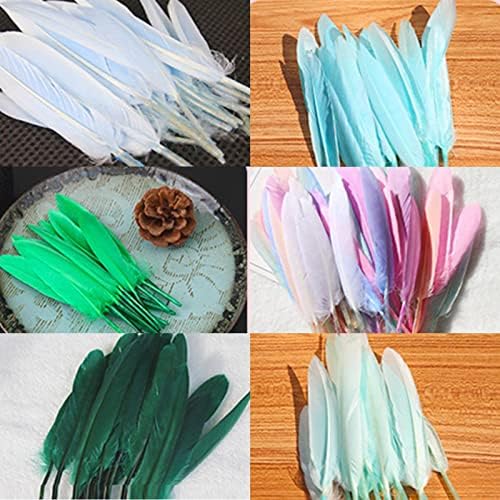YECHUN perje za zanate | šareno perje-perje u boji za zanate Dream Catcher nakit dekoracija, DIY