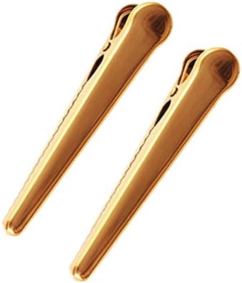 2PCS zaklani za punjenje Zlatni nehrđajući čelik Bill Clips Metal Metal Binders Clips