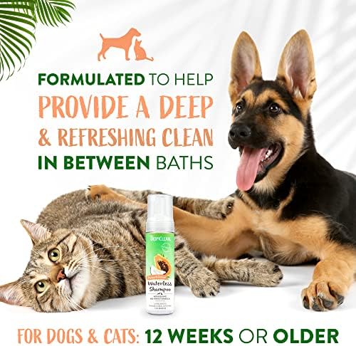 TropiClean Papaya Coconut Waterless pas šampon | hranjivi suhi šampon za pse | prirodni šampon za pse izveden