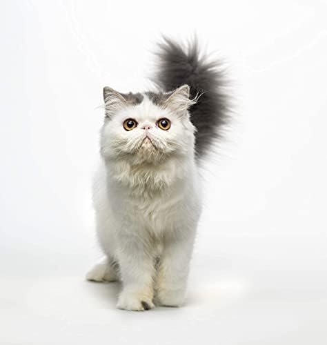 Eye Envy rastvor za uklanjanje suza za mačke| prirodno i sigurno|preporučeno od strane uzgajivača/veterinara/odgajivača/frizera