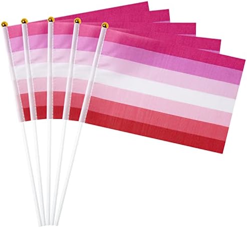 Gentlegirl 12 paketa Transgender Pride Rainbow Flags Transgender Trans Mali mini ručno držanje zastava Gay