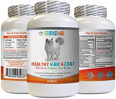 Mačja kože i svrbež ublažavanja - mačke Zdrava kosa i kaput - dobar imunološki odgovor - zdravlje noktiju