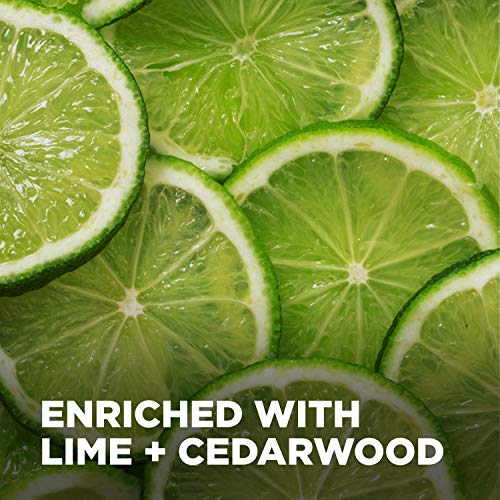 Dove Men + Care 2 u 1 šampon i regenerator za zdrav izgled kose Lime + Cedarwood prirodno dobivena sredstva