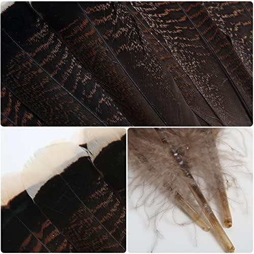THARAHT 24pcs prirodni Wild Turkey Tails Feathers pero Bulk 12 - 14inch 30-35cm za DIY Crafts