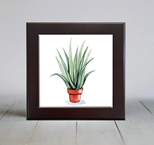 Aloe Vera Plant Akvarel Art Decorative Tile