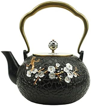 Funmaker japanskog stila Tetubin Čajnik Čajnik Iron Teapots Japanski liveni željezni čajnik Ručno rađeni