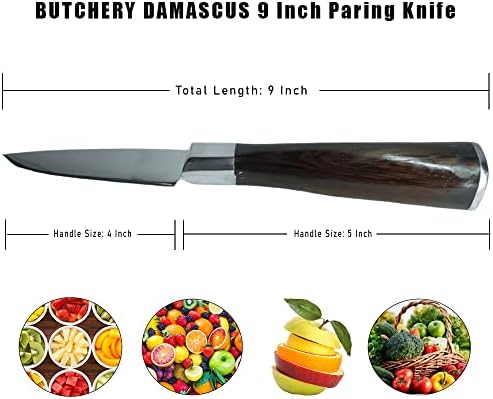 Mesnica Damask japanski nož za čišćenje-Pro kuhinjski nož 4 inčni noževi za čišćenje japanski nož za poliranje