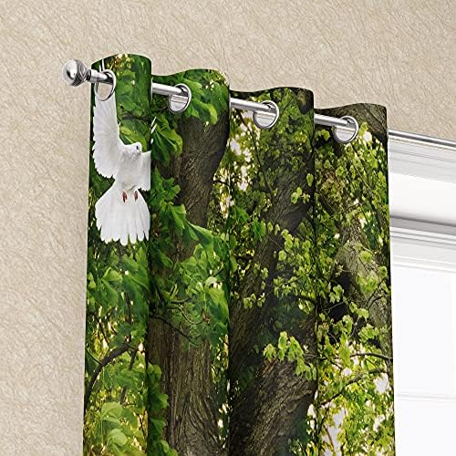 Axluolan Sika Jeleer Curtains Zelena stabla i staza u šumi 3D uzorak Kućni dekor zavjese Grommet