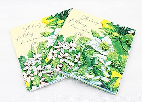 LASLU cvjetni papirni salvete, proljetni leptir cvjetni dizajn Vintage ručak salvete serviettes, 100koko