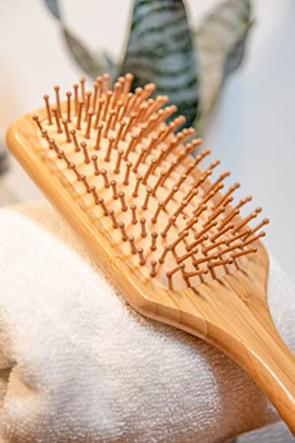 Dvodelna drvena četkica za kosu koja je postavljena sa Arumdan. Eko-prilagođeni bambusovim materijalima
