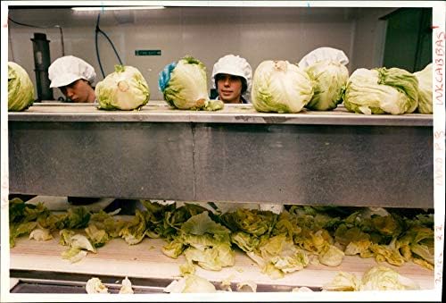 Vintage fotografija biljne hrane: salatu od ledenog brega.