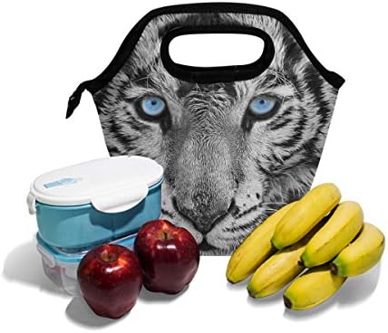 Vipsk torba za ručak tote torba vodootporna škola piknika za putovanja na otvorenom, za muškarce, žene