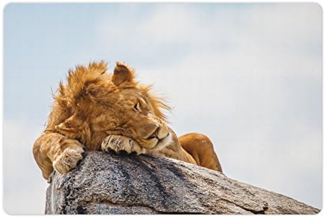 Lunadljiva životinja za kućne ljubimce za hranu i vodu, savannah lav životinjski divljim životinjama stvorenje