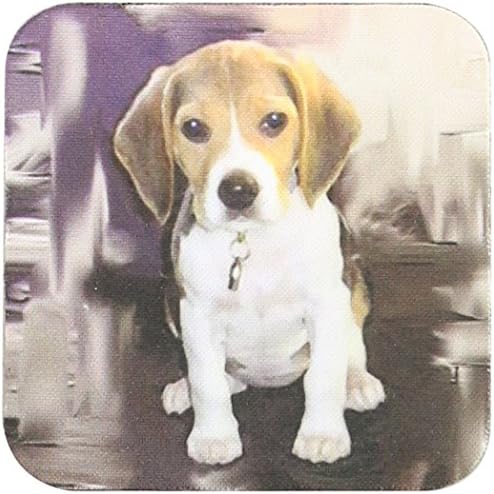 3drose beagle coaster, mekan, set od 8