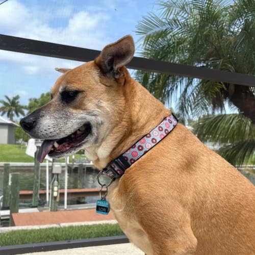 Aloha Dog Co ovratnik za pse tropski cvjetni havajii personalizirani mekani udobni podesivi osnovni