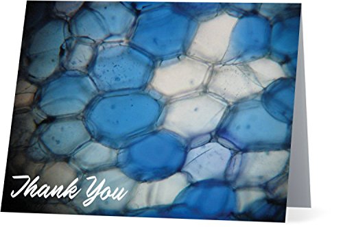 Lab štakor Pokloni TYC016 papir Biologija Hvala kartici