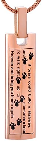 Biaihqie nehrđajući čelik ležerni pas za kućne ljubimce mačka kremacija urna ogrlica