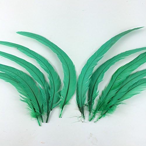 KOLIGHT Set od 10 komada 12~14 inča prirodnog Pijetlovog Kokovnog repnog perja za DIY uređenje ureda