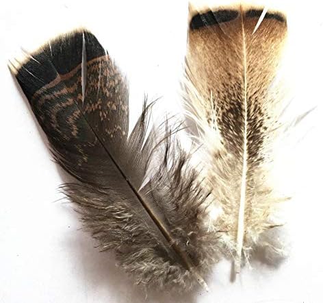 Zamihalla Turska fazan perje orla perje 10-15cm / 4-6inch vjenčanje dekoracija fazana perje za zanate