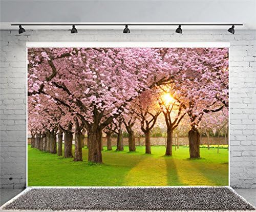 Yeele 10x8ft Cherry Blossoms pozadina za fotografiju Spring Park Sunshine Pink Flower zelena livada pozadina