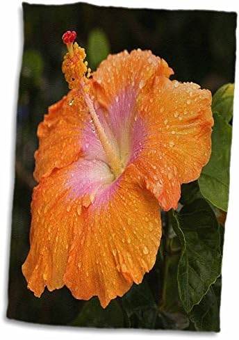 3droza Florene Hawaii - Havajski narandžasti rosica Hibiskus - ručnici