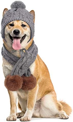 Idomik pas i šal se postavili toplo pleteni šešir sa rupama za uši i pom pom pune šal za hladnu vremenu