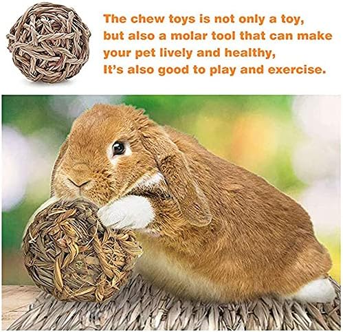 NSWDY HAMSTER žvakačke igračke, 6 pakovanja male životinjske aktivnosti Vježba prirodne drvene igračke dodaci
