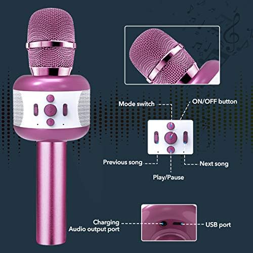 LEERON mikrofon za djecu, Dječiji mikrofon za odrasle bežični mikrofonski zvučnik, zabavni mikrofon