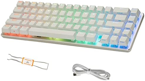 Tieti žičana mehanička tastatura, Mini RGB Ultra-kompaktna 65% raspored 67keys tastatura za igre, vruća