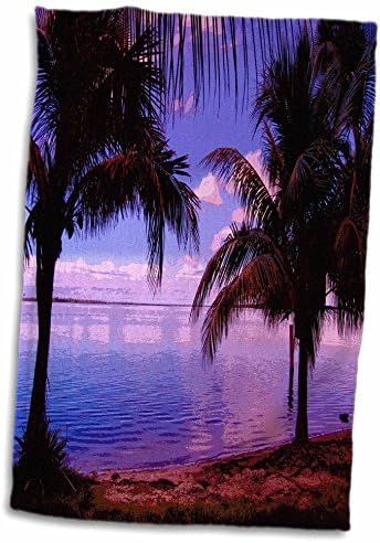 3D ružin otisak Plum Palms Matlacha Florida TWL_204300_1 ručnik, 15 x 22, višebojni