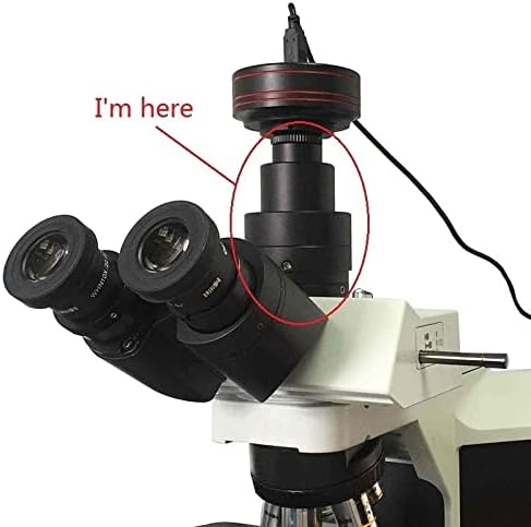 Komplet opreme za mikroskop za odrasle 1x potrošni materijal adaptera za mikroskopski interfejs konektora kamere