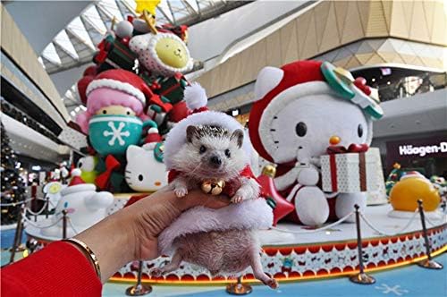 Odjeća za jeću Božićna kostim Santa Claus odijelo Mali životinjski odjeća Polar Fleece Ručno rađeni midnjak Hoodie Dodatna oprema Outfit za Rholiday Christmas Cosplay Halloween Party)