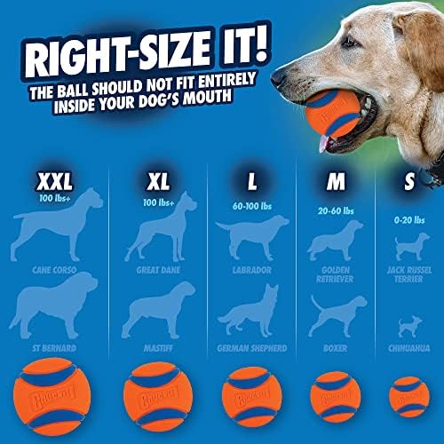 Chuckit Ultra Ball igračka za pse, srednje pakovanje od 2 komada, za pasmine 20-60 lbs