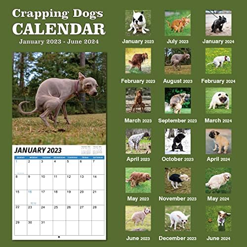 Zidni Kalendar 2023-2024-April. 2023-Jun. 2024, 15 Mjesečni kalendar pasa za Kakanje 2023, kalendar