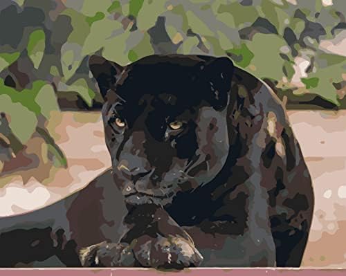 LXDZXY boja po broju za odrasle Prairie Black Panther DIY ulje brojevi slika na platnu akrilne
