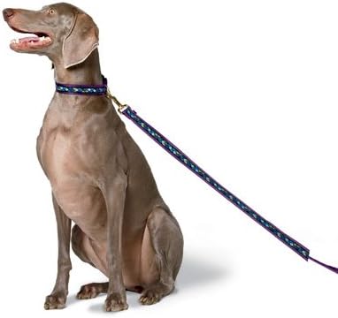 Premier Fido Finer Finer Ribbon prekrivanje povodaka za pse 3/4 x 6 ft- oregon na teal