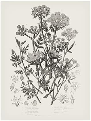 Zaštitni znak likovne umjetnosti 'cvjetne biljke IV neutralne' platnene umjetnosti portfelja Wild