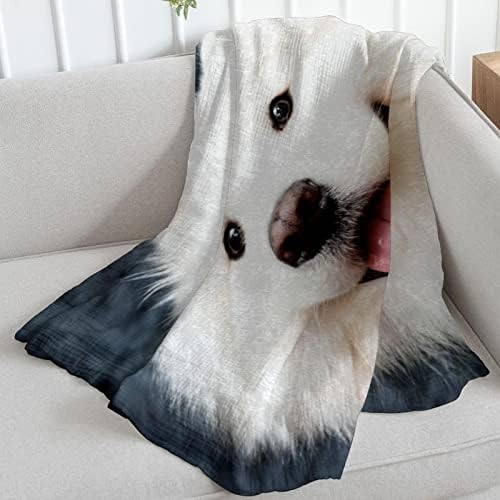 Plišane pokrivače, dneket, toplo ugodno meko, prekrivači mikrofibera, Samoyed kućni ljubimac životinja