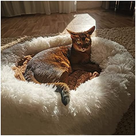 YXXJJ PET PAD SUPER Mekani pasički krevet plišani mačka za pse za pse za velike pse kreveti labradore