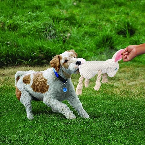 Peclot Easter Squeaky pse, plišane igračke za pse za psa Puppy, izdržljiv zalogaj za utezanje za male srednje velike pse, interaktivna igračka za kućne ljubimce sa škljocačem za agresivne žvakače